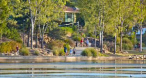 Forest Lake QLD