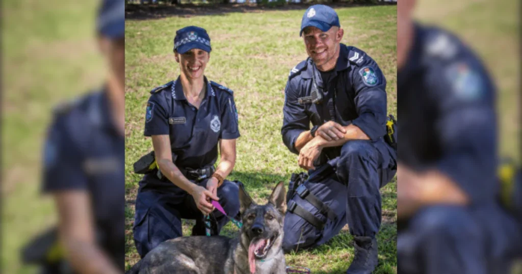 Dogs on Patrol